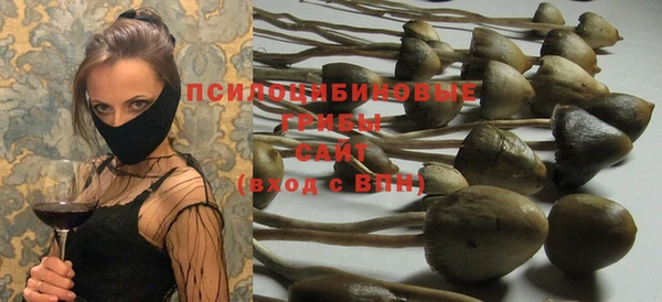 соль ск Белоозёрский