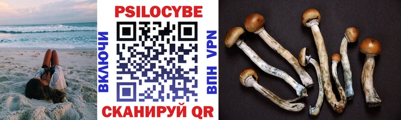 Галлюциногенные грибы Magic Shrooms  где купить   ОМГ ОМГ ссылки  Реутов 